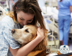 The Dogs That Help Heal