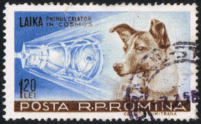 Laika-SupportingImage-Postage Stamp-1959