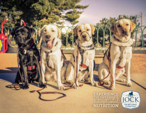 Guide Dogs: Making a Difference Every Day