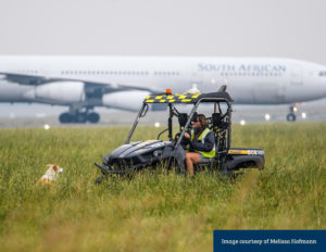 Airport Heroes: Chasing birds to their hearts’ content