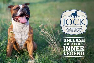 July 2021 – Remembering Our Canine Heroes This Heritage Day